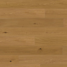 Ladda upp bild till gallerivisning, Barth Ek Noblesse XL 260mm