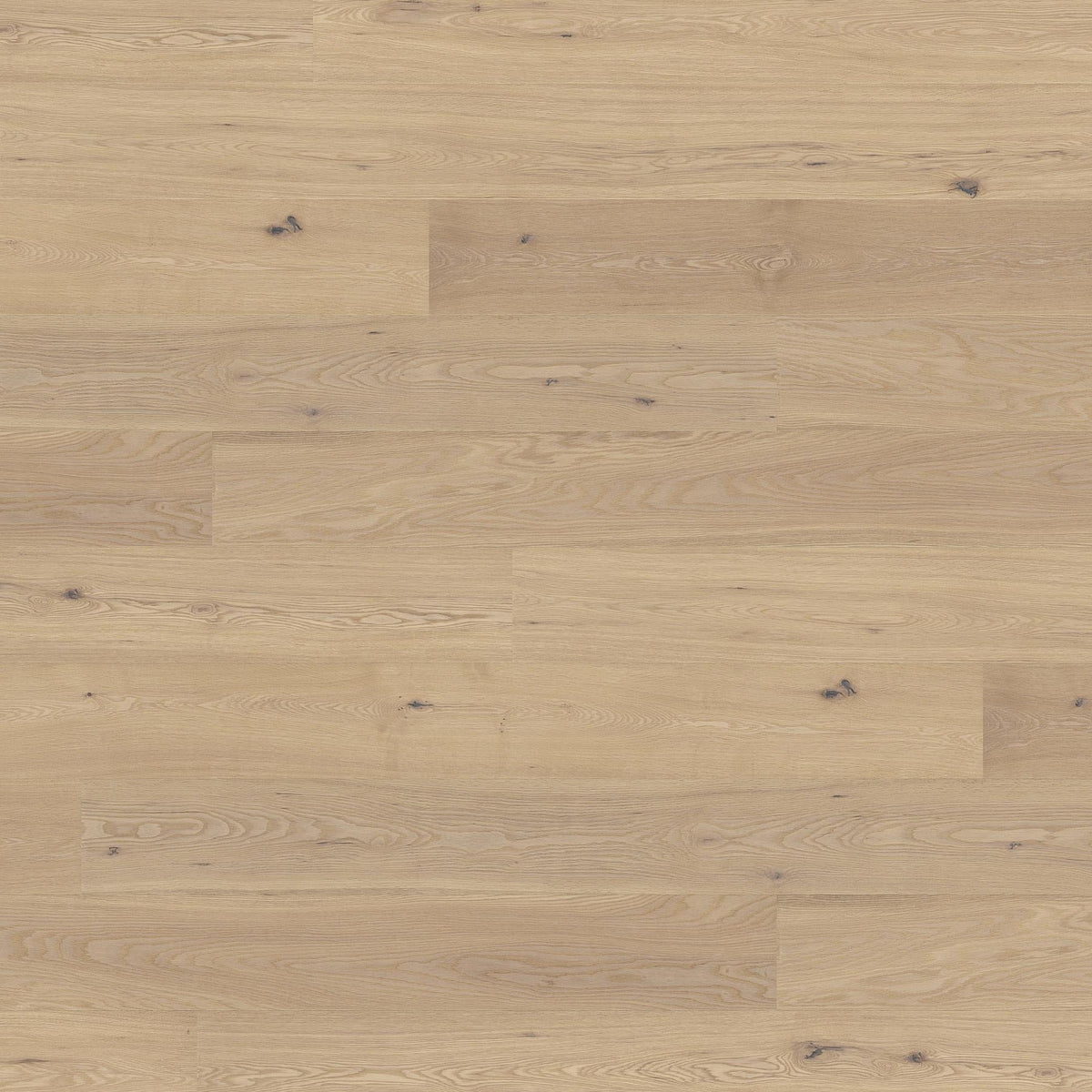 Barth Ek Comfort XL 260mm