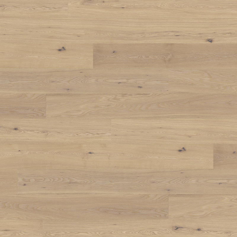 Barth Ek Comfort XL 260mm