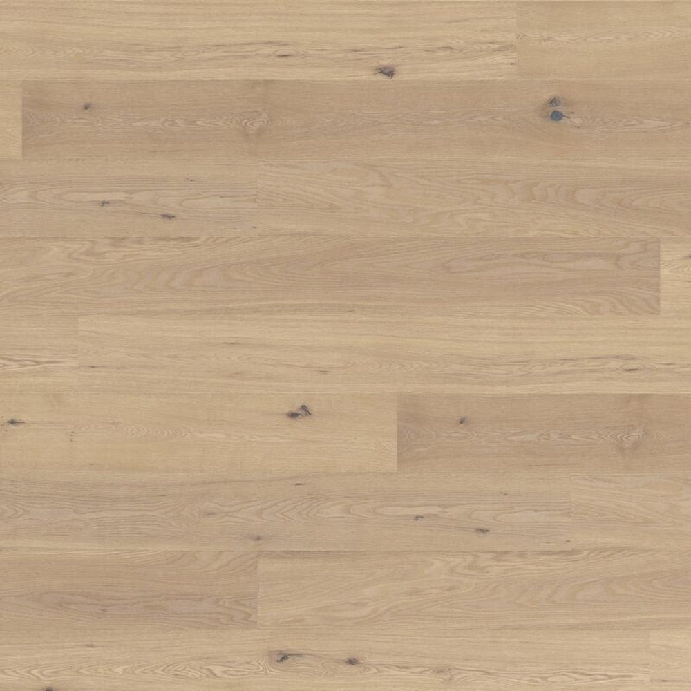 Barth Ek New Comfort L 190mm