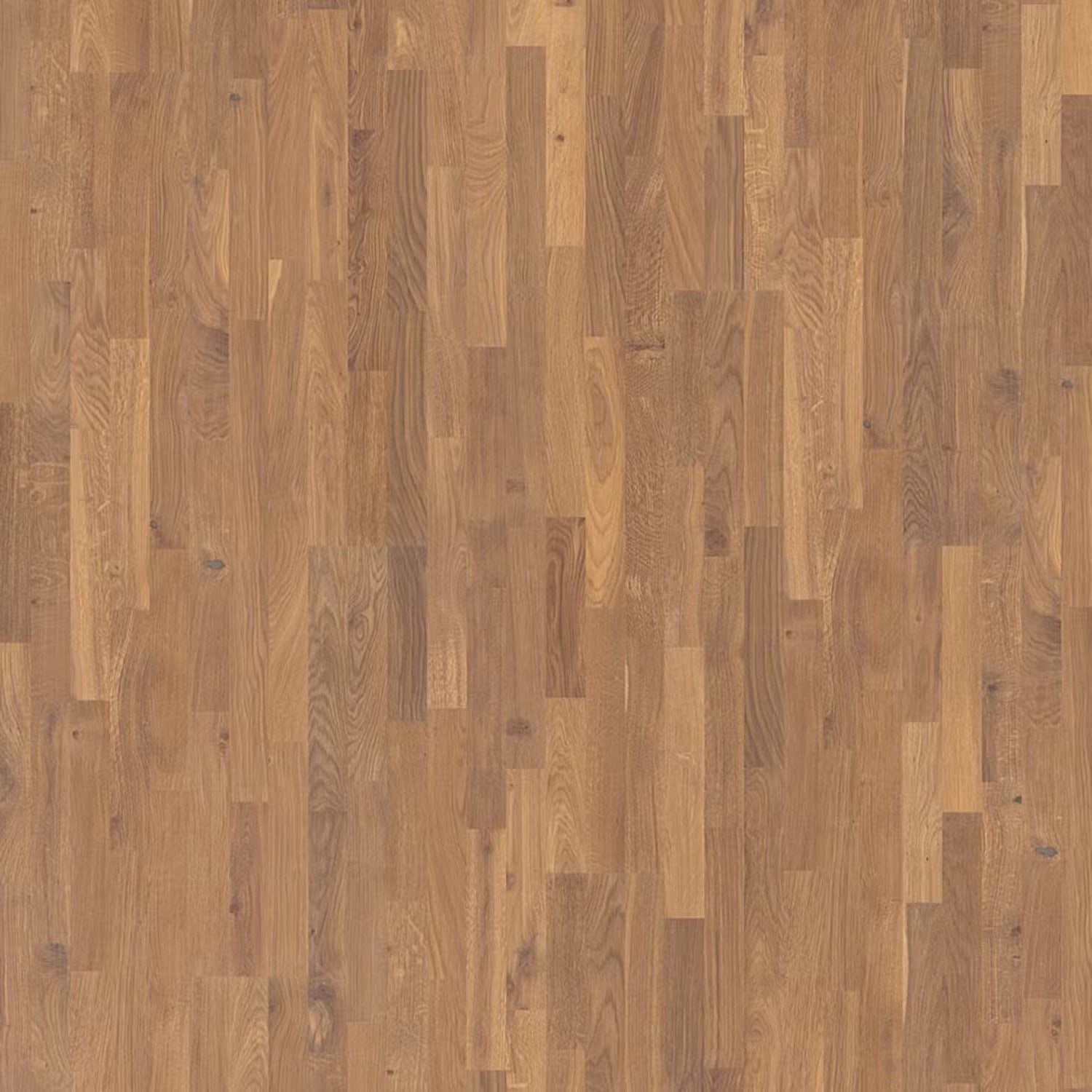 Berg & Berg Ek L Värmland Borstad Vitolja