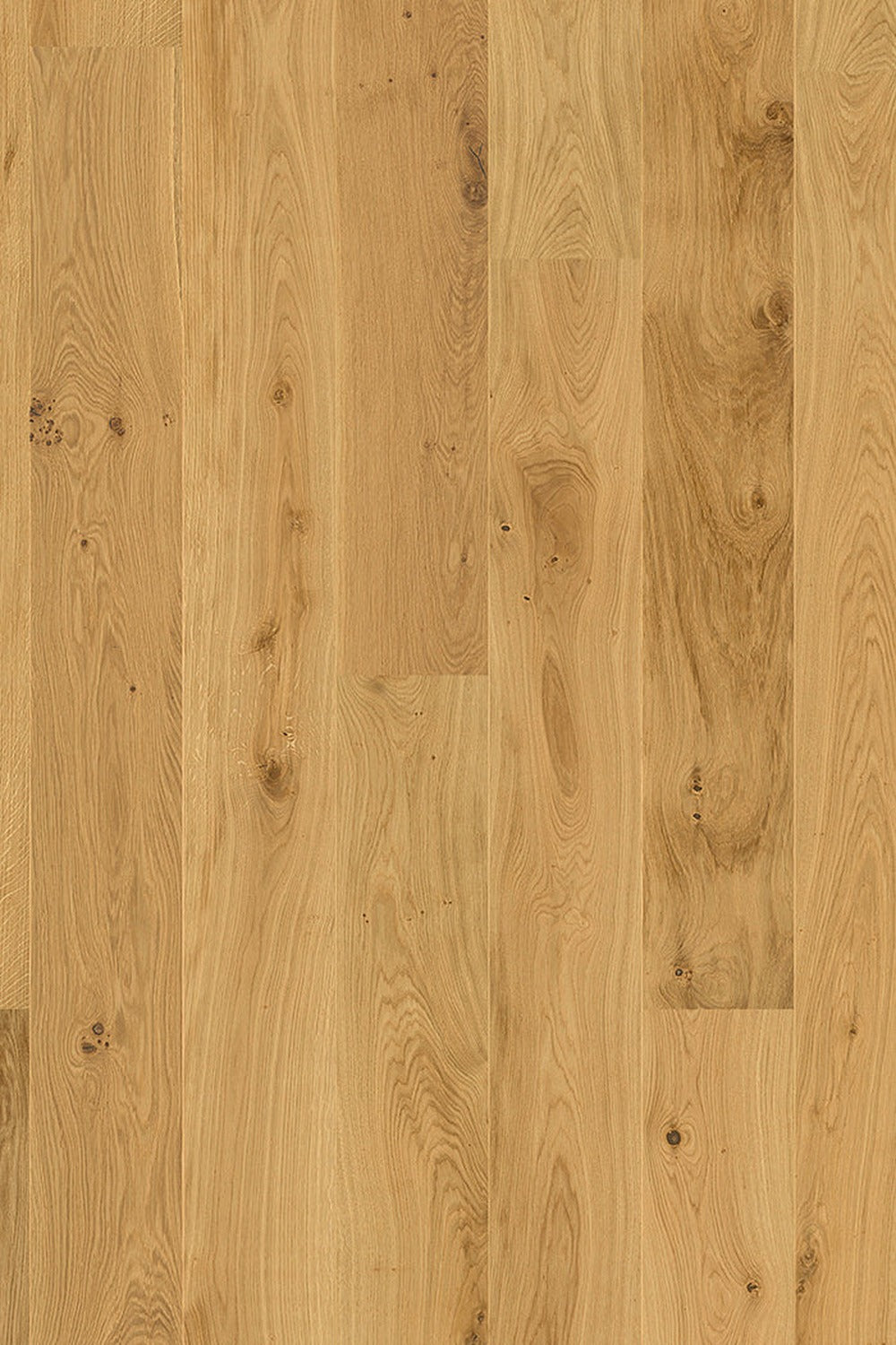 Berg & Berg Plank Ek XXL Spader Borstad Naturolja