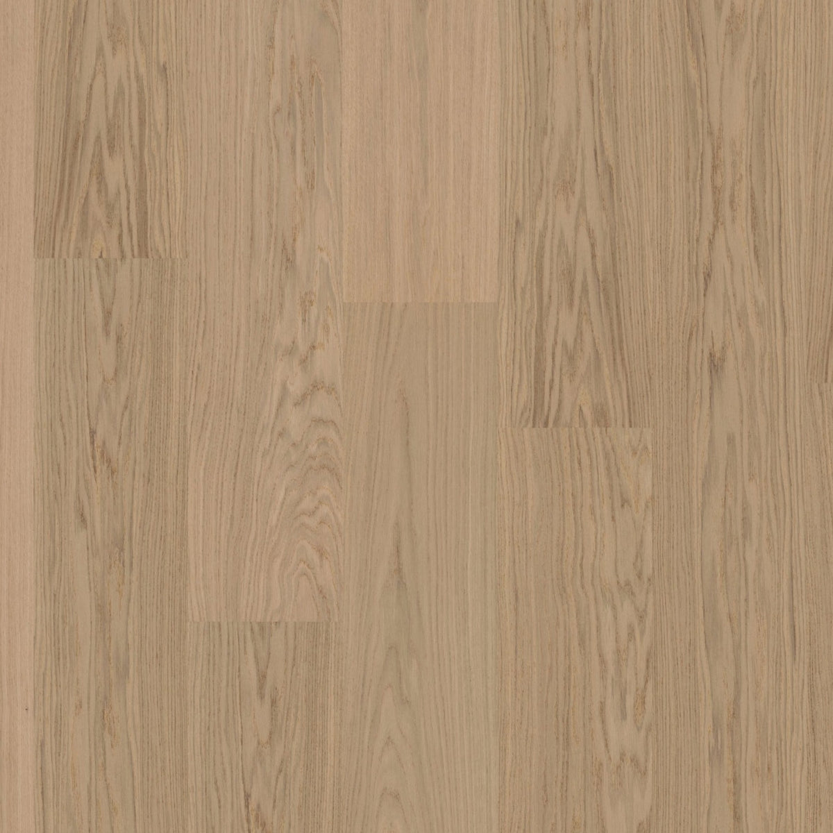 Moland super ek wideplank mitchell white oak