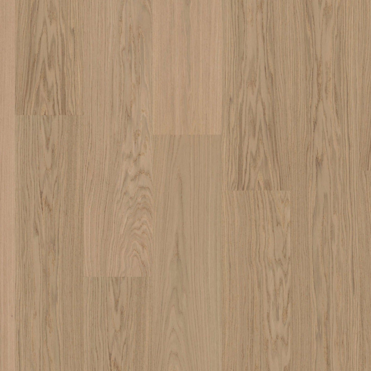 Moland super ek wideplank mitchell white oak