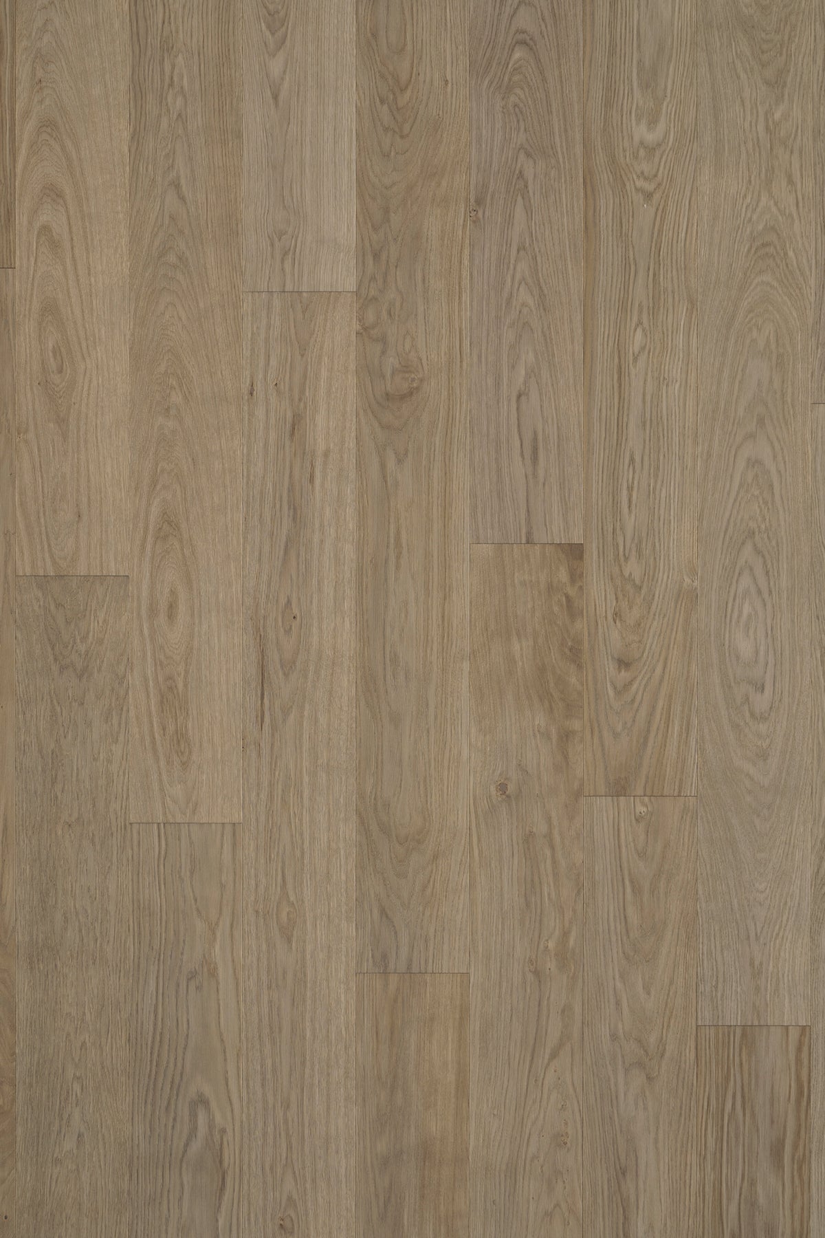 Timberwise ek Amore Brown – bilden visar Classic / Natur. Vägledande prov; ytbehandling och plankmått är inte verifierade.