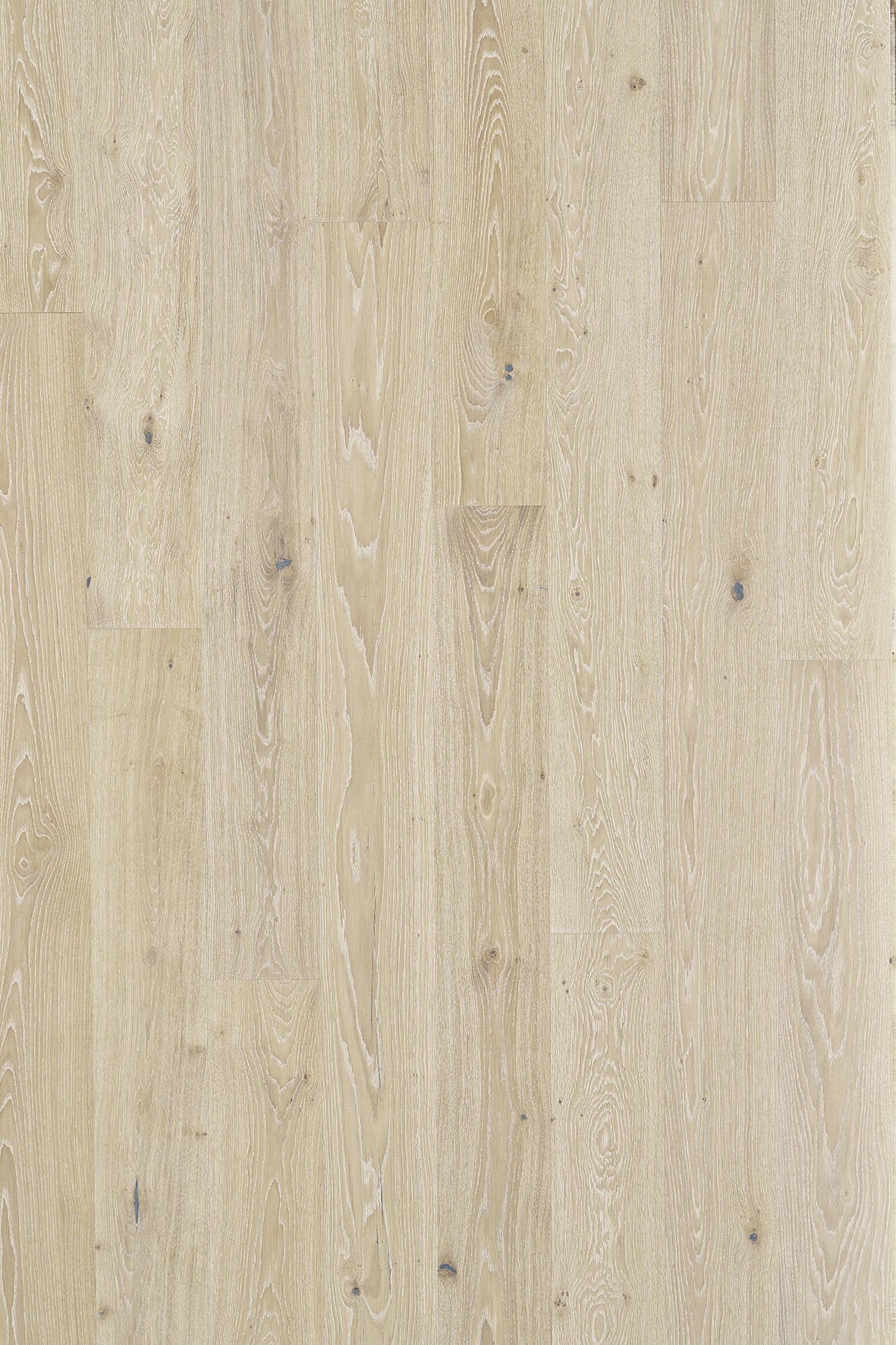 Timberwise ek Arctic – bilden visar Vintage / Rustik. Vägledande prov; ytbehandling och plankmått är inte verifierade.