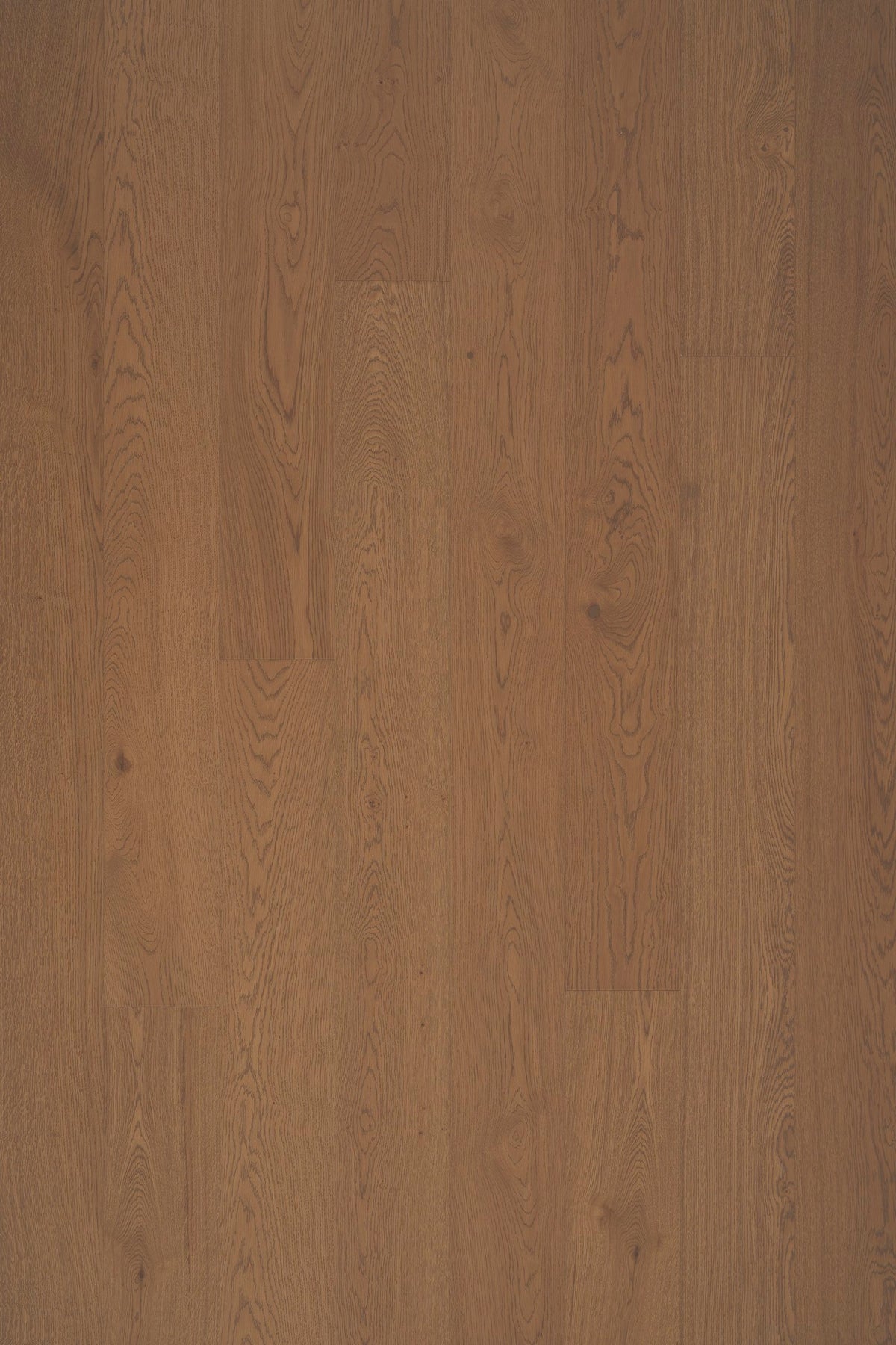 Timberwise ek Caramel – bilden visar Classic / Natur. Vägledande prov; ytbehandling och plankmått är inte verifierade.