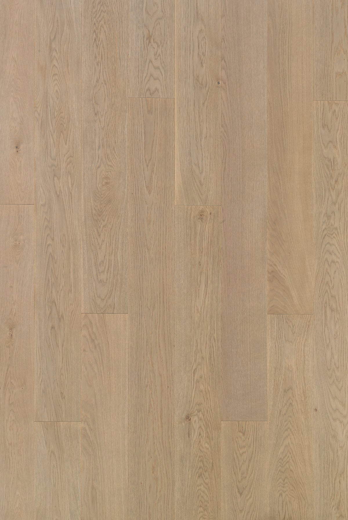 Timberwise ek Moonstone. Sortering är inte angiven. Vägledande prov; ytbehandling och plankmått är inte verifierade.