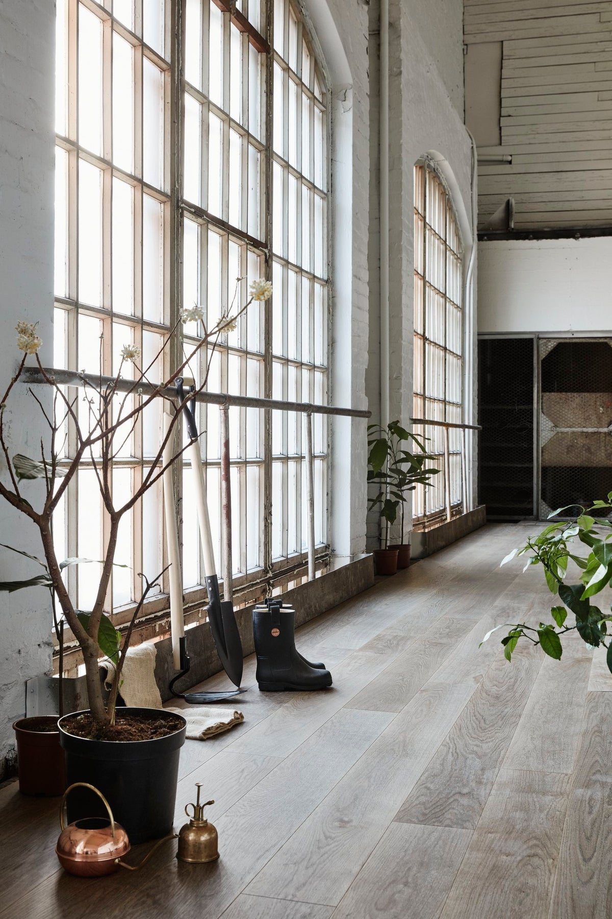Timberwise ek Pallas – miljöbild från Timberwise. Bildens filnamn styrker kulören; sortering, ytbehandling och plankmått framgår endast när det anges i källnamnet. Referensbild.