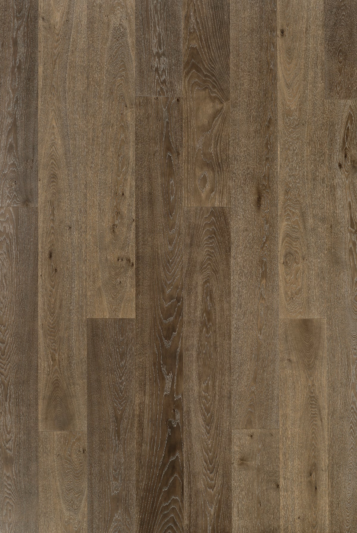 Timberwise ek Sea Clam. Sortering är inte angiven. Vägledande prov; ytbehandling och plankmått är inte verifierade.