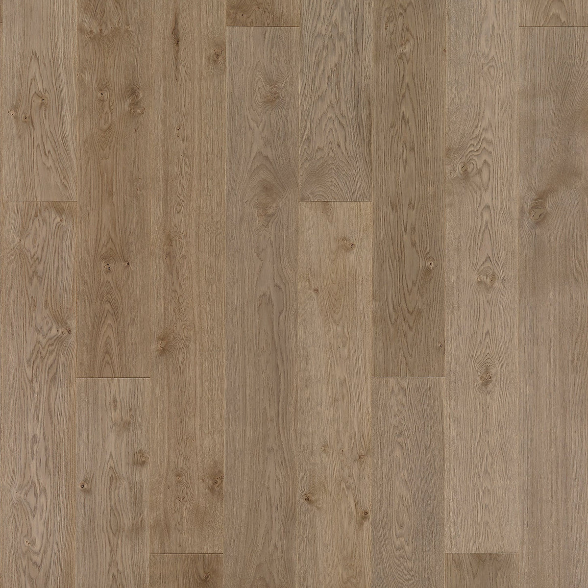 Timberwise Ekplanka Biscuit Grey – kvadratisk produktbild ovanifrån med plankorna vertikalt. Vägledande kulörreferens; sortering, ytbehandling och plankmått kan avvika.