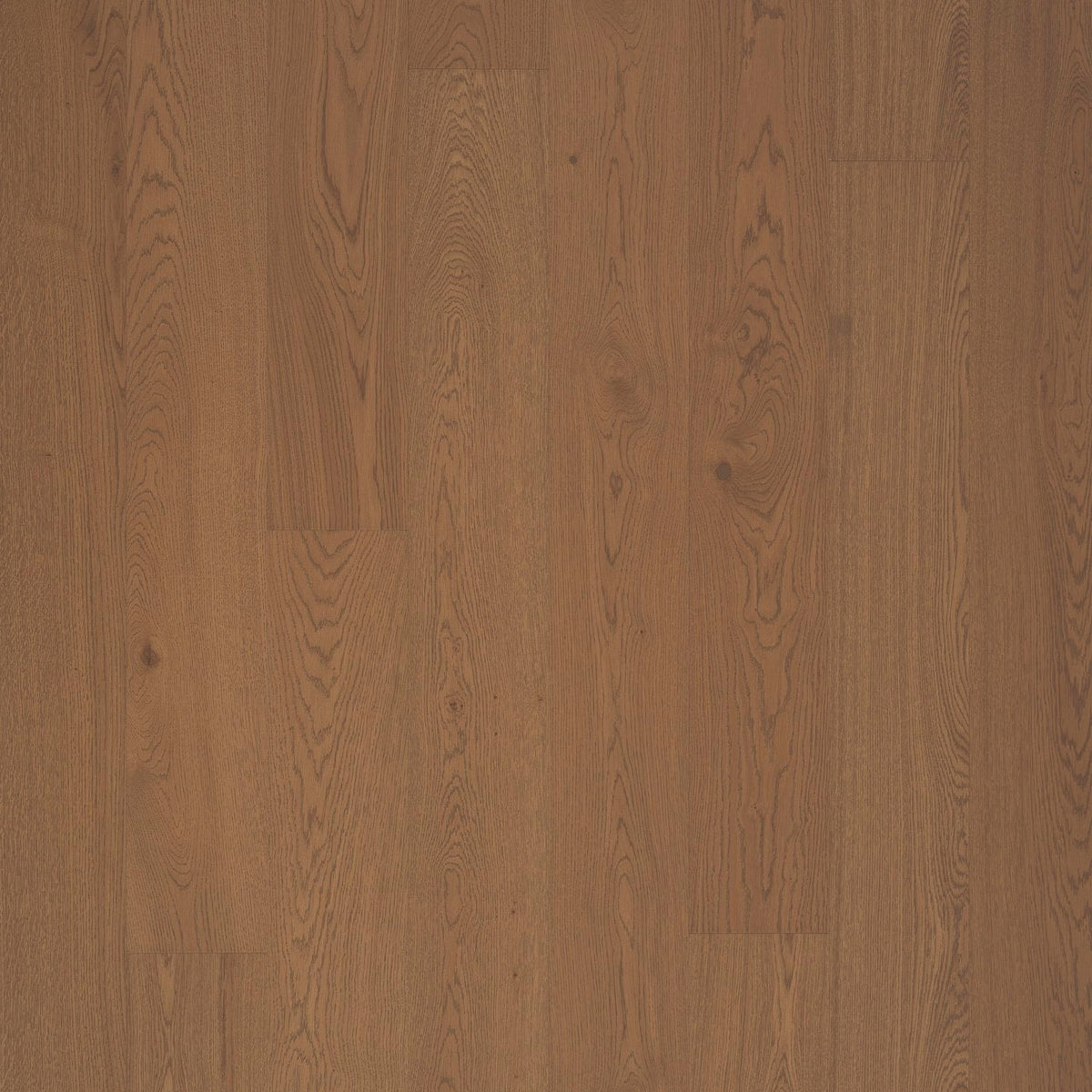 Timberwise Ekplanka Caramel – kvadratisk produktbild ovanifrån med plankorna vertikalt. Vägledande kulörreferens; sortering, ytbehandling och plankmått kan avvika.