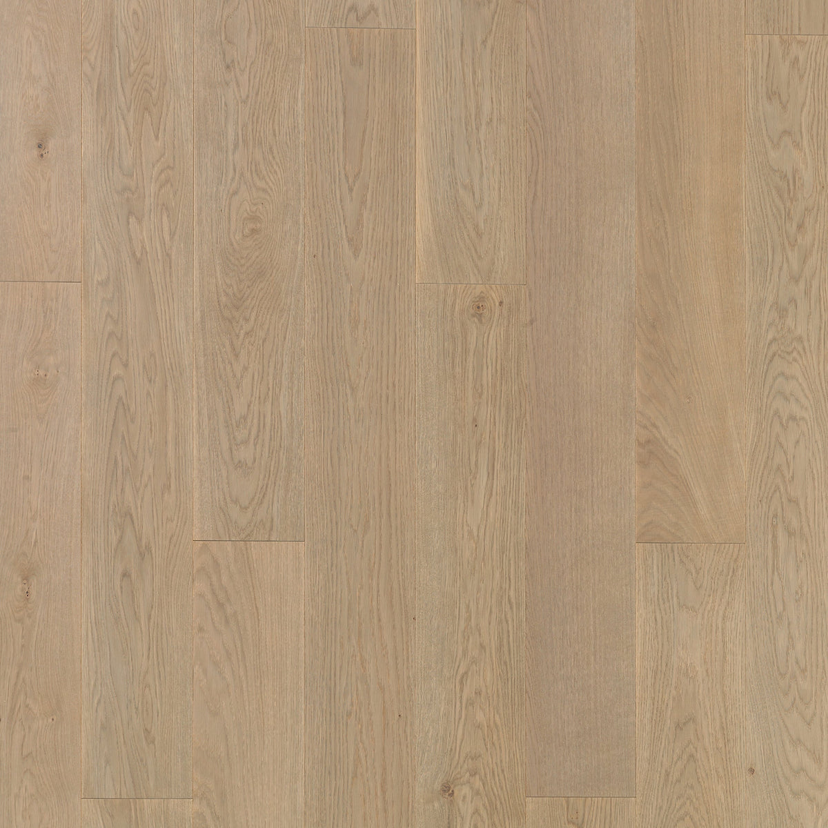 Timberwise Ekplanka Moonstone – kvadratisk produktbild ovanifrån med plankorna vertikalt. Vägledande kulörreferens; sortering, ytbehandling och plankmått kan avvika.