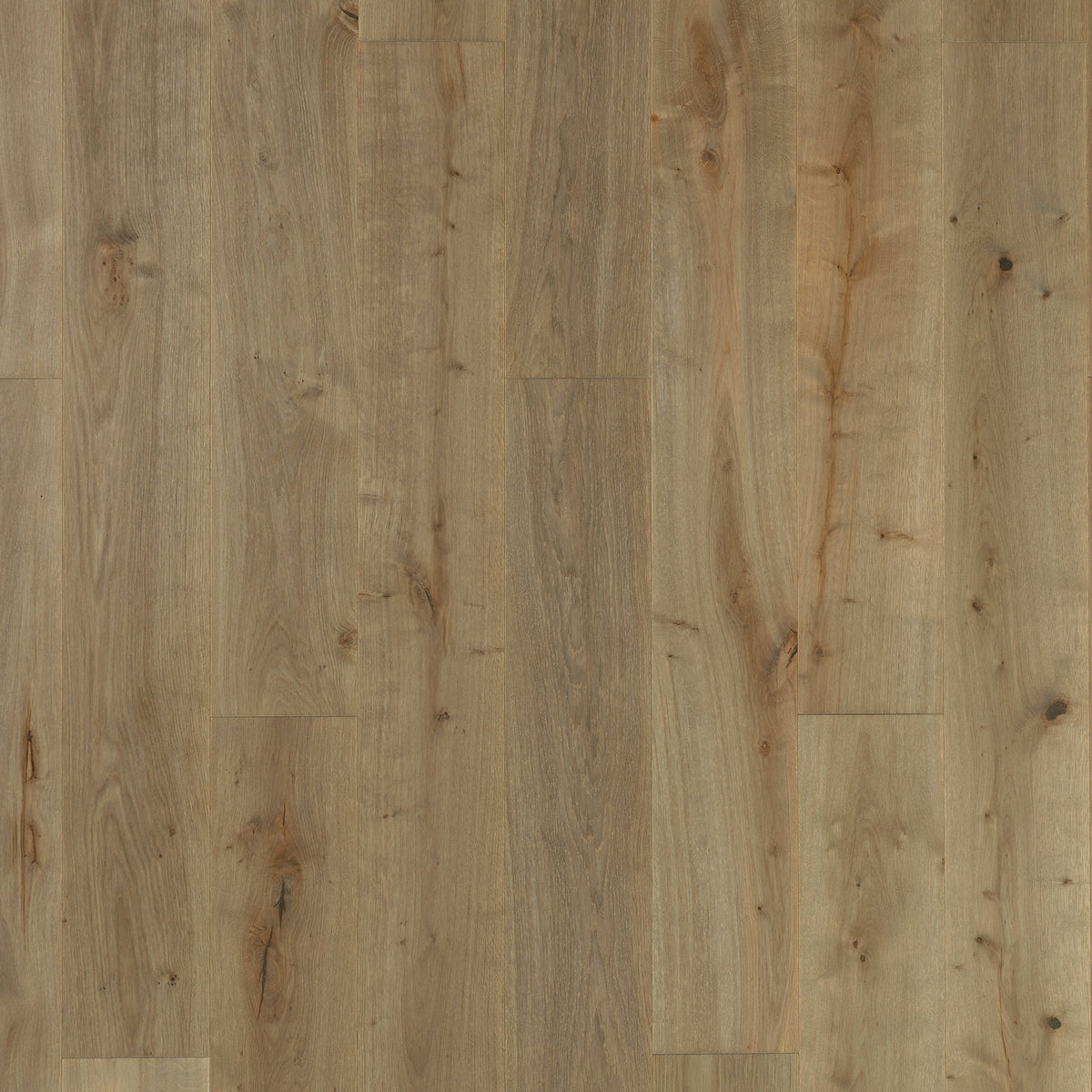 Timberwise Ekplanka Pallas – kvadratisk produktbild ovanifrån med plankorna vertikalt. Vägledande kulörreferens; sortering, ytbehandling och plankmått kan avvika.
