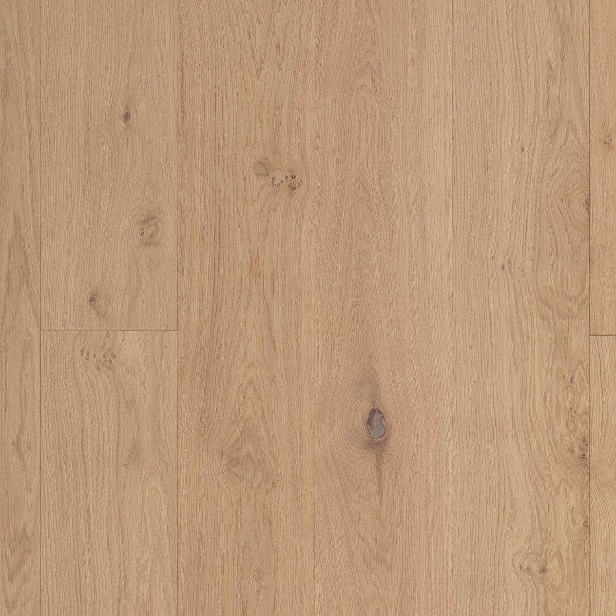 Timberwise Ekplanka Sky White – kvadratisk produktbild ovanifrån med plankorna vertikalt. Vägledande kulörreferens; sortering, ytbehandling och plankmått kan avvika.
