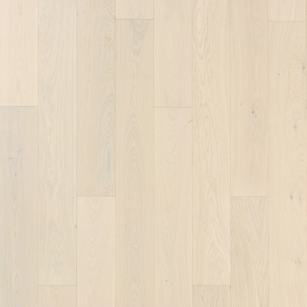 Timberwise Ekplanka White Cream – kvadratisk produktbild ovanifrån med plankorna vertikalt. Vägledande kulörreferens; sortering, ytbehandling och plankmått kan avvika.