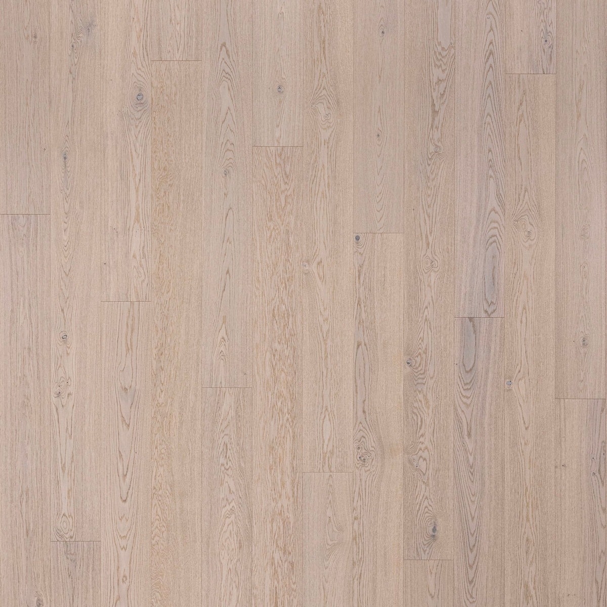 Timberwise Ekplanka White Matte Lacquered – kvadratisk produktbild ovanifrån med plankorna vertikalt. Vägledande kulörreferens; sortering, ytbehandling och plankmått kan avvika.