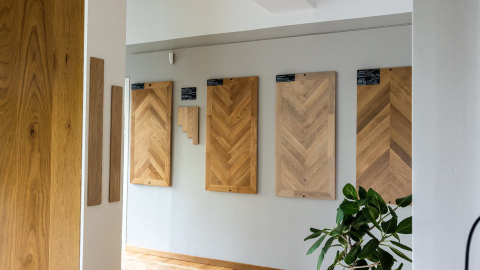 Vägg med monterade fiskbensprover och gröna växter i förgrunden.