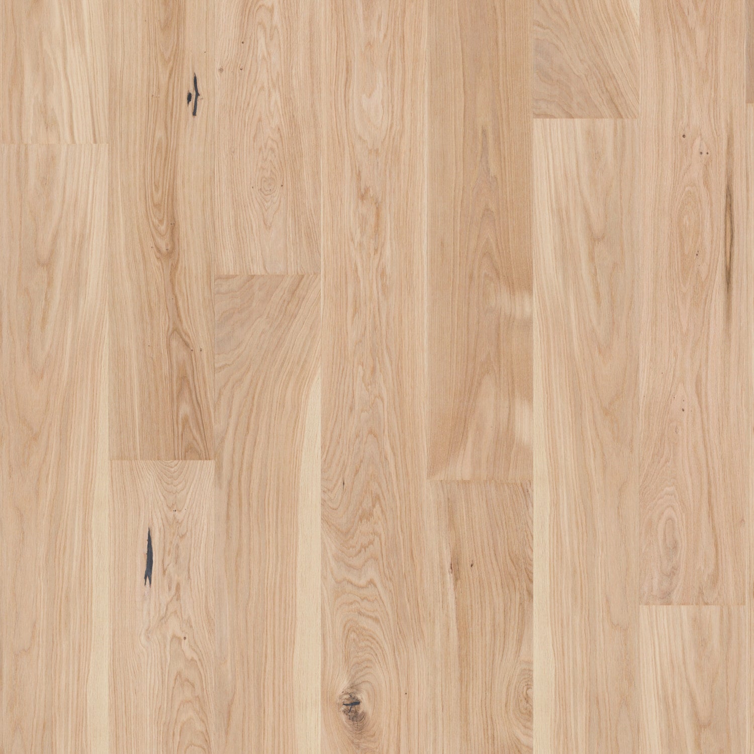 Moland Ektilja Burghley Wideplank Ek UV-mattlack Pavé Trend